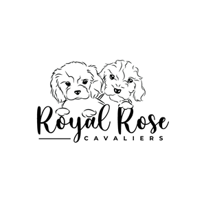 Logo Design by RAMDHONU for this project | Design #29668633