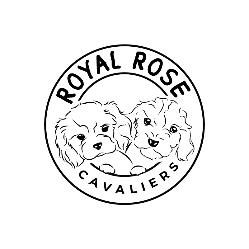 Logo Design by RAMDHONU for this project | Design #29668634