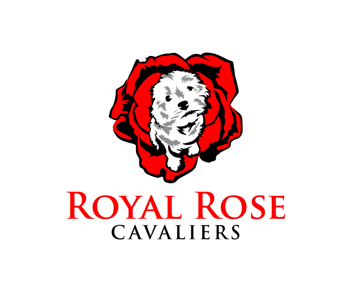 Logo Design by Ansh Design for this project | Design #29663870