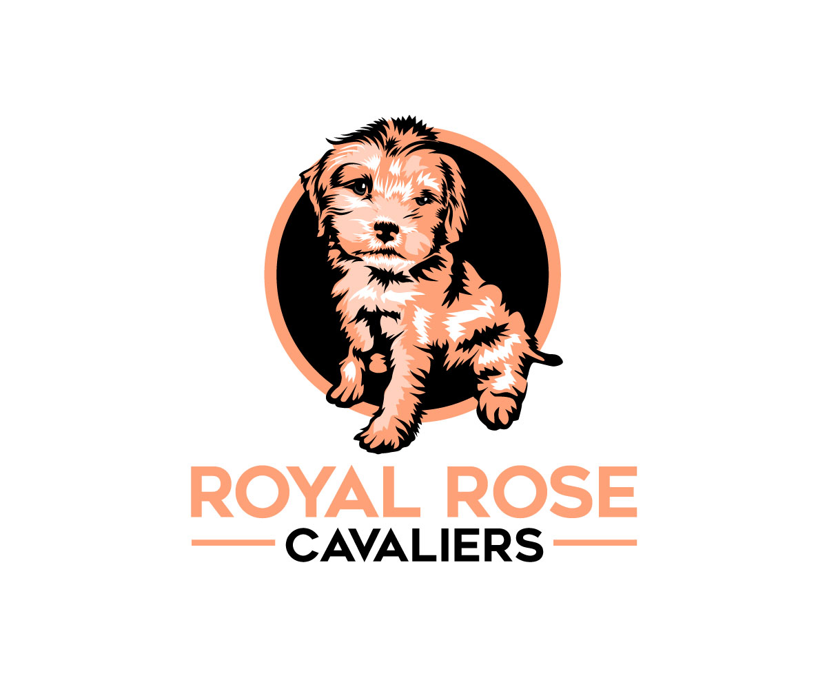 Logo Design by Ansh Design for this project | Design #29663871