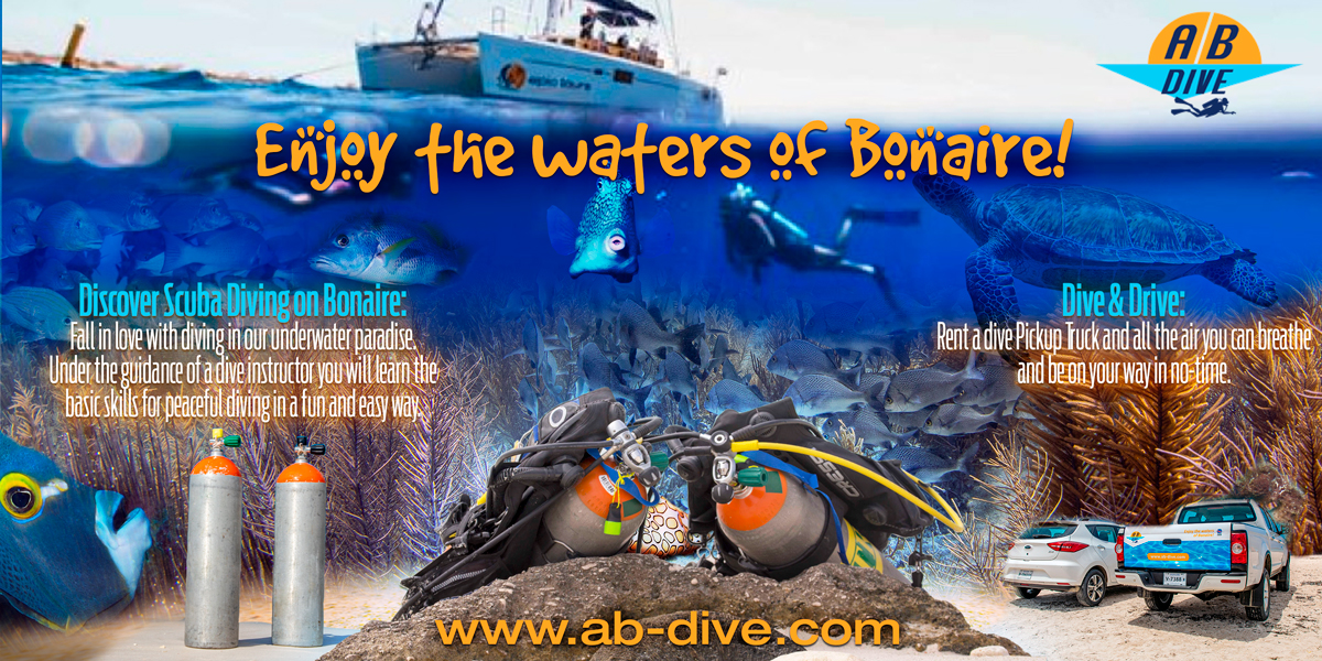 {0} by {1} for {2} | Design #{3}[FORMAT EXCEPTION]