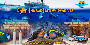 {0} by {1} for {2}[FORMAT EXCEPTION] | Design: #29675920