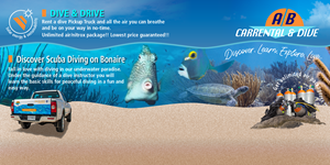 Grafik-Design von LOM für AB Dive | Design: #29684733