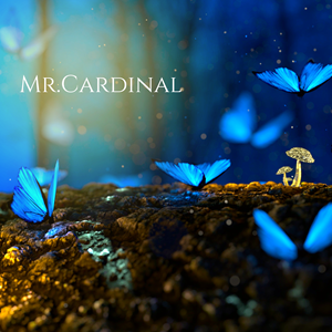 CD Cover Design by AnninWonderland for this project | Design: #29680402