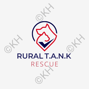 Logo Design by Meraj Ul Arfeen