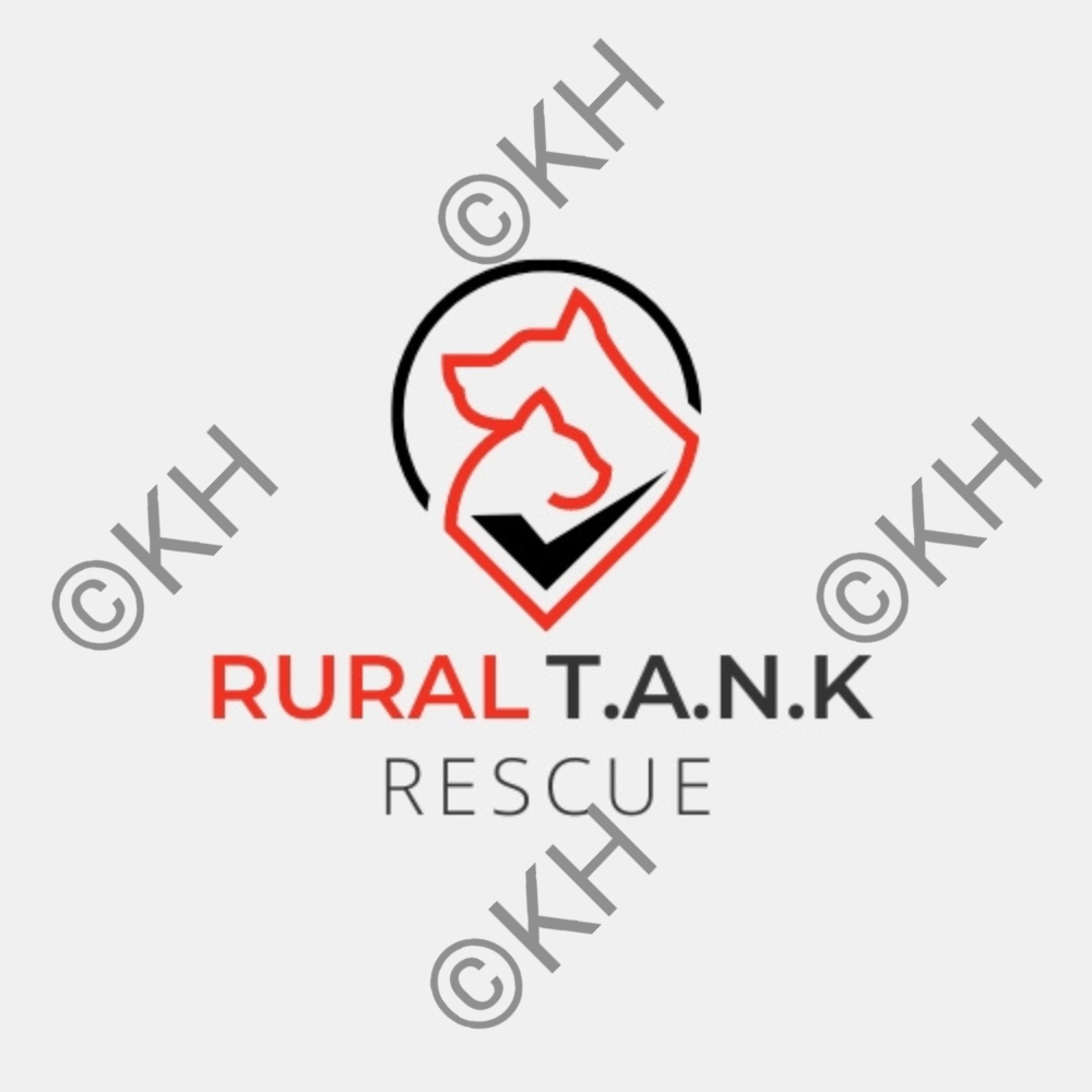 Design de Logo par Meraj Ul Arfeen pour None | Design #29689904