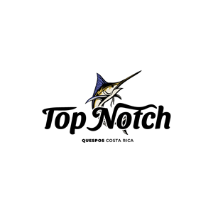 Logo-Design von Jhannel55 für dieses Projekt | Design: #29704763
