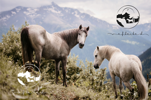 Logo-Design von A10 für dieses Projekt | Design: #29683382