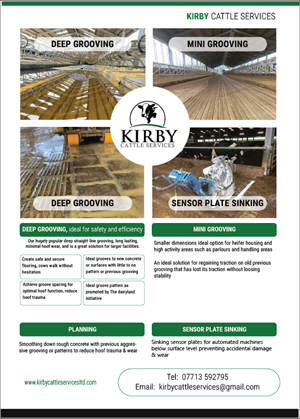 Flyer-Design von A.praveenkumar für Rutland ranch | Design: #29689701