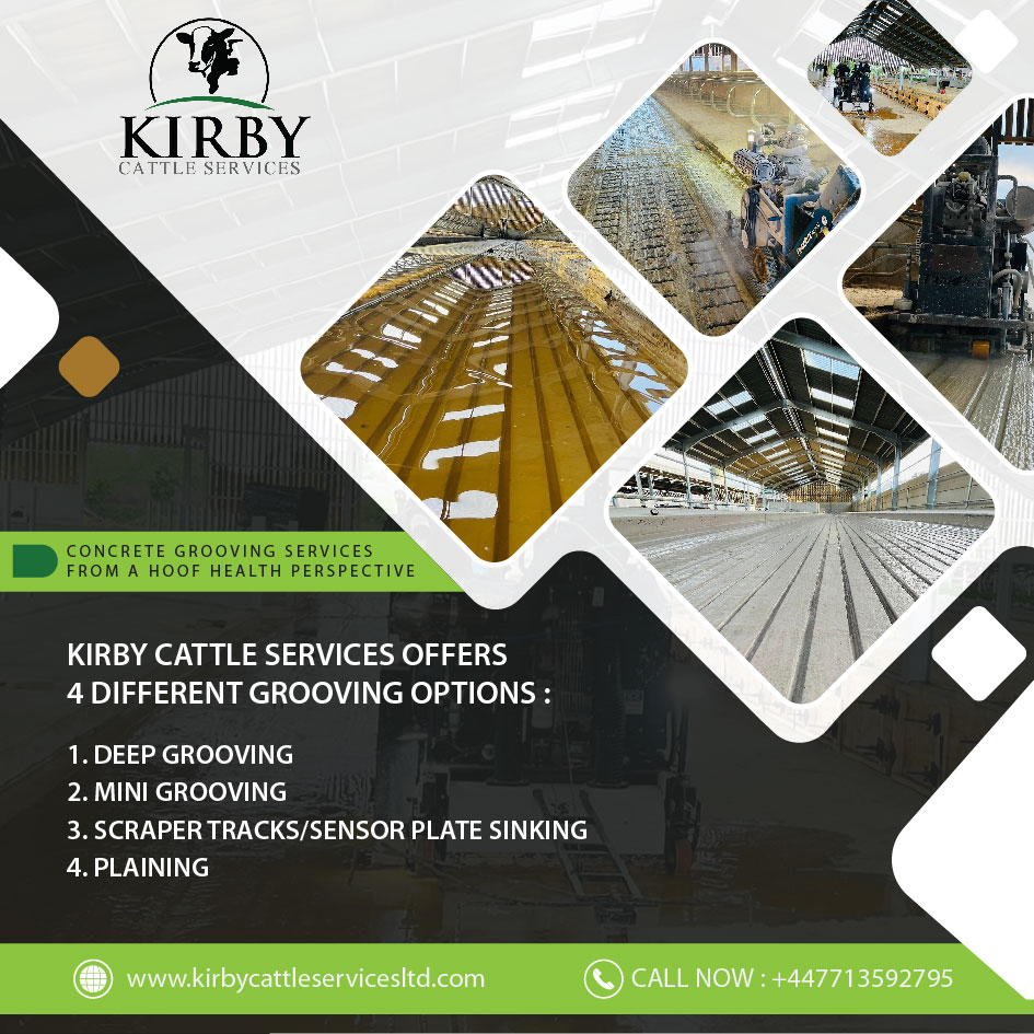 Design de Flyer par devidigitalart pour Rutland ranch | Design #32445807