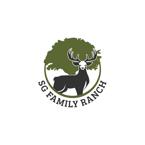 Design de Logo par Jhannel55 pour ce projet | Design : #29678079