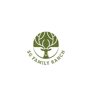 Logo Design by Jerwin Intac