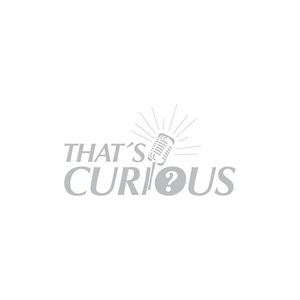 Logo Design by Jeni2023 for this project | Design #29691248