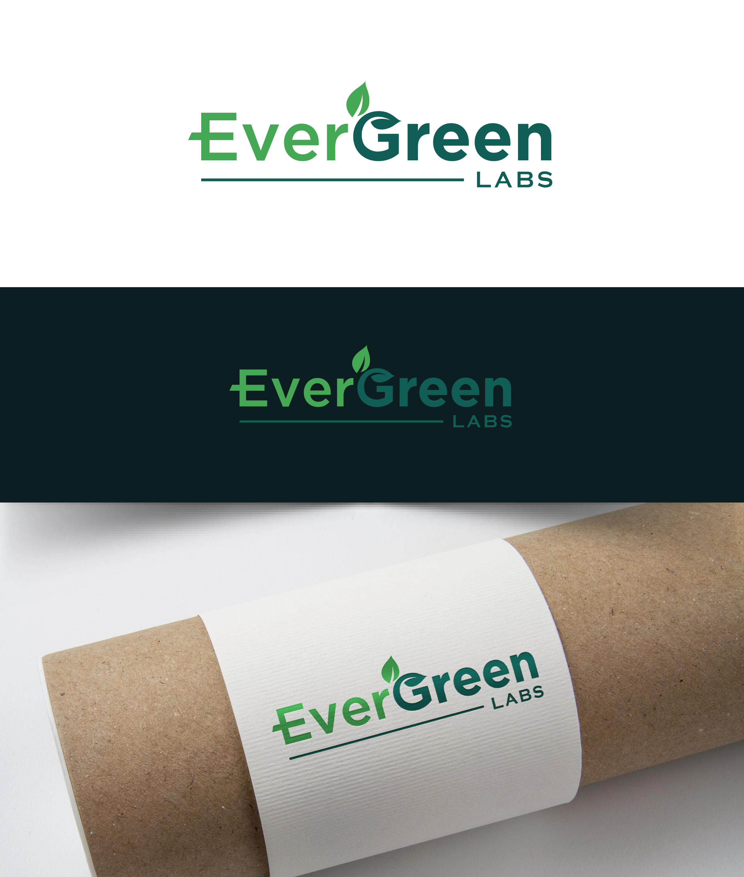 Diseño de Logo por ecorokerz para este proyecto | Diseño #29694402