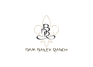 Logo Design by 39plus