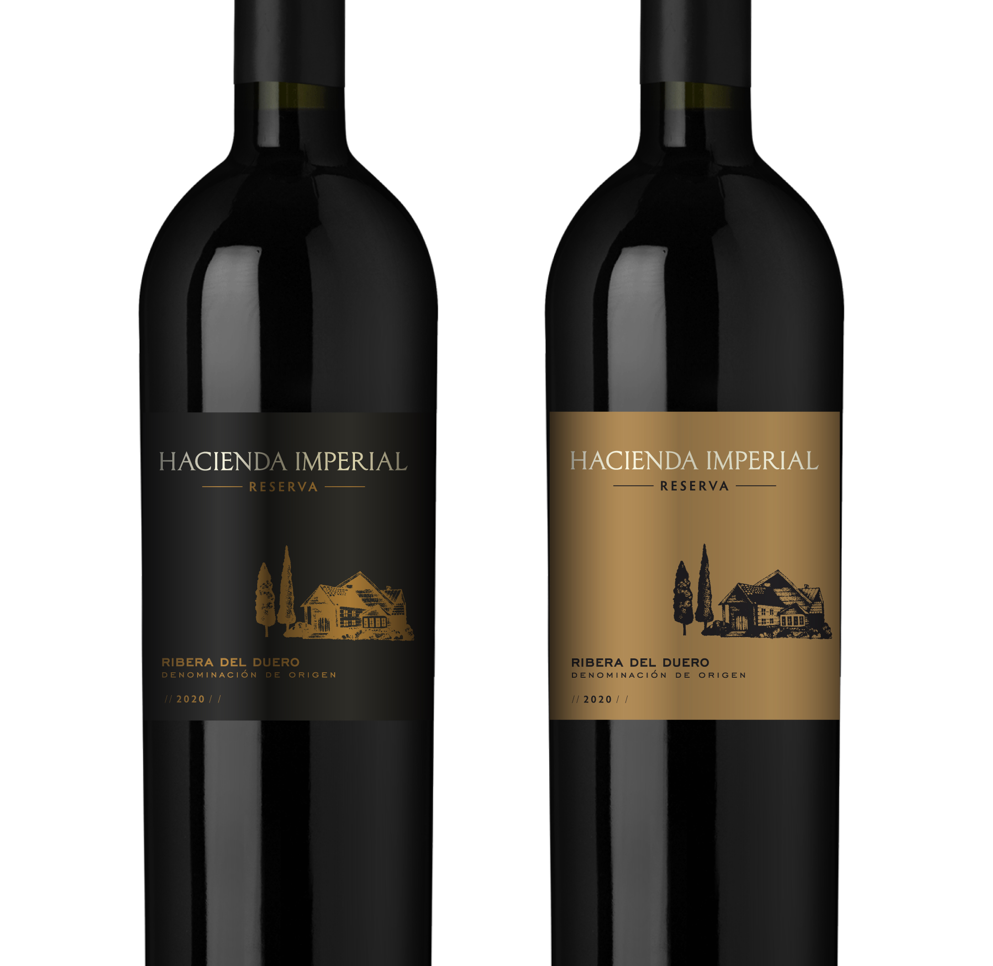 Graphic Design by Milos Jovic for this project | Design #29708366