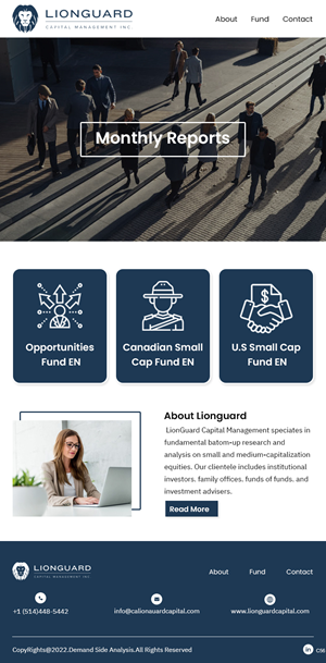 Diseño de Mercadeo por Correo Electrónico por pb para LionGuard Capital Management Inc. | Diseño: #29702900