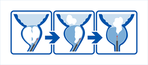 Graphic Design by GambarSERU for this project | Design: #29704687