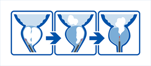 Graphic Design by GambarSERU for this project | Design: #29718933