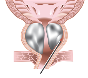 Graphic Design by onurg for this project | Design: #29713031