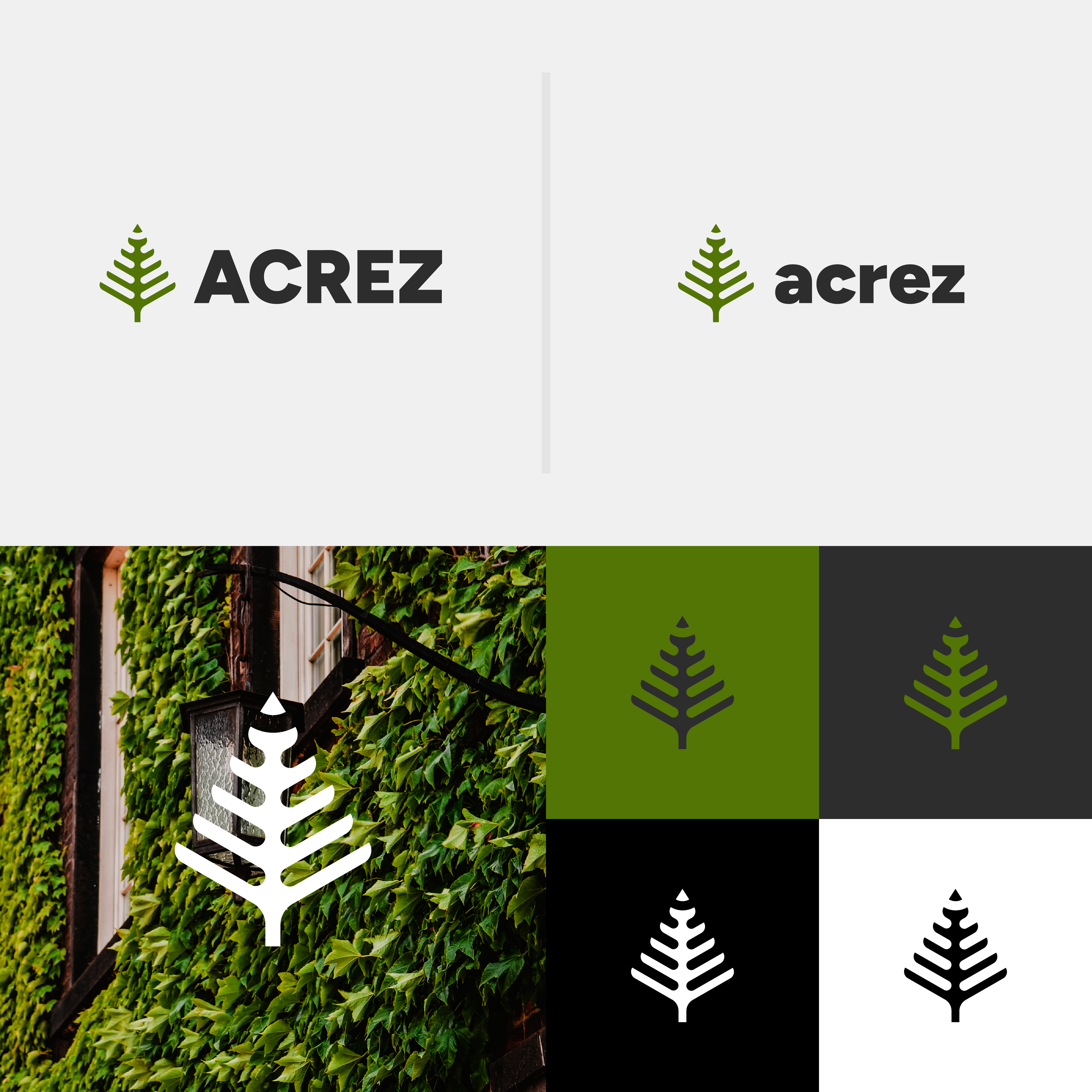 Logo Design by A.R.D.P for this project | Design #29787433