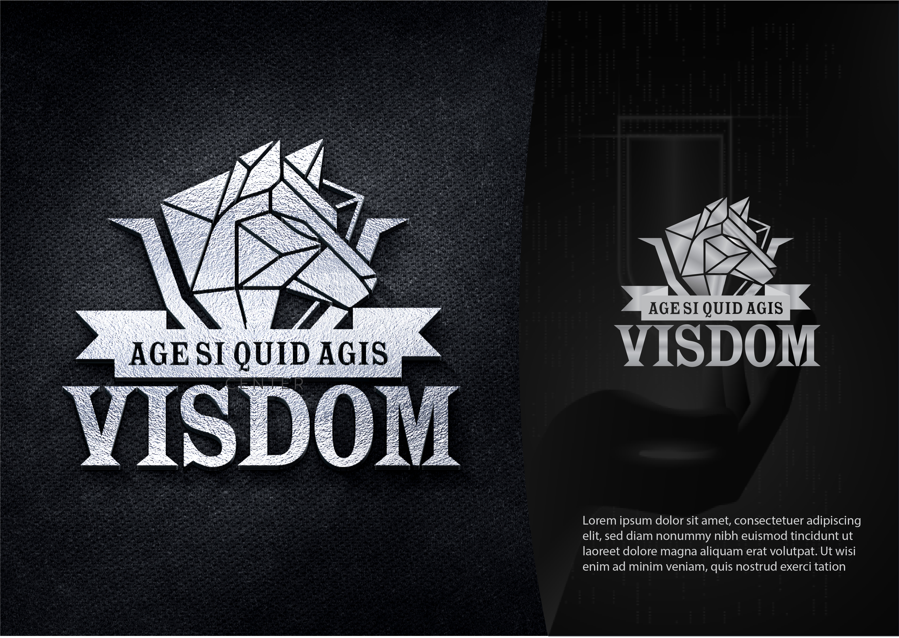Logo Design by Ak4li™ for Visdom | Design #29706418