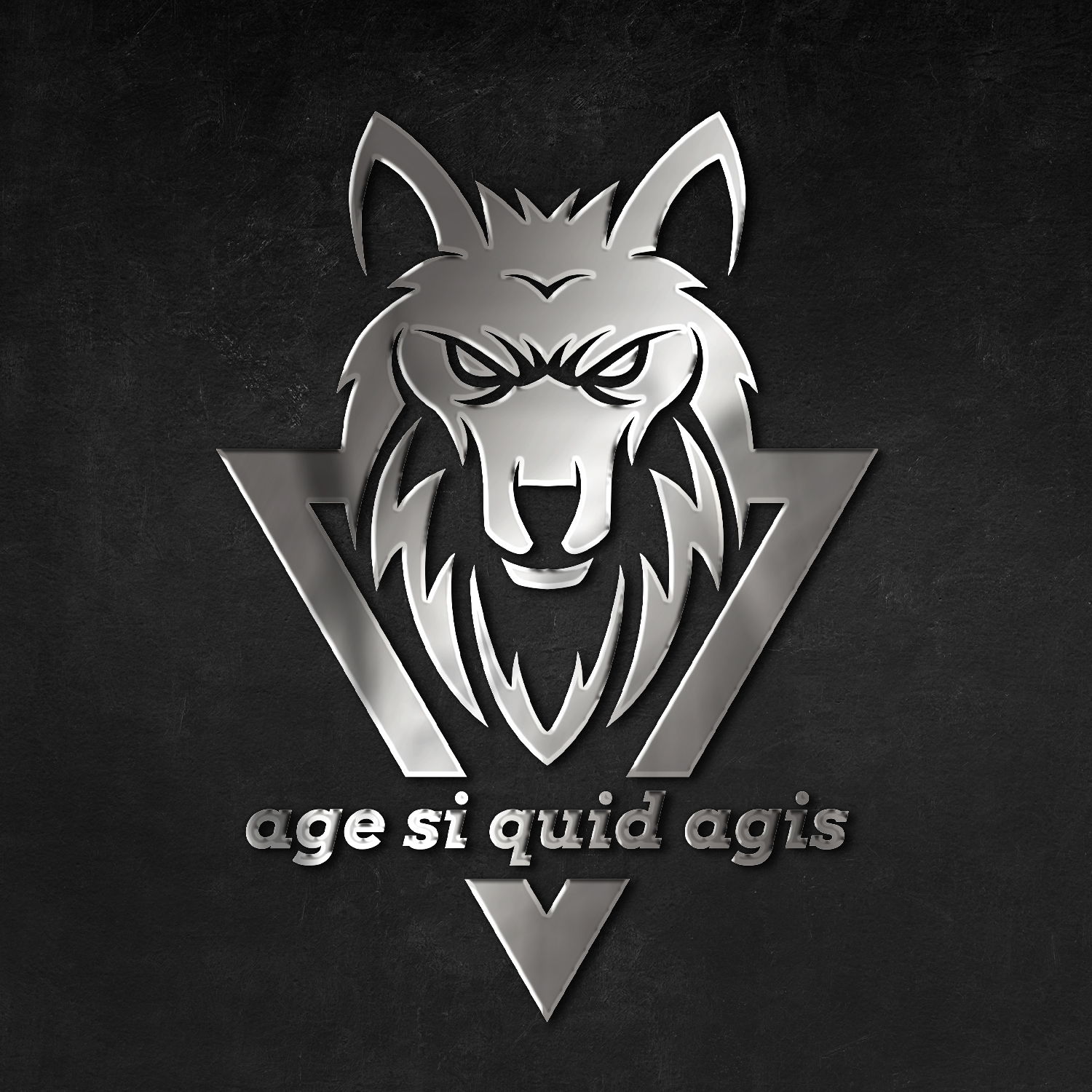 Logo Design by Felipe Moura for Visdom | Design #29704474