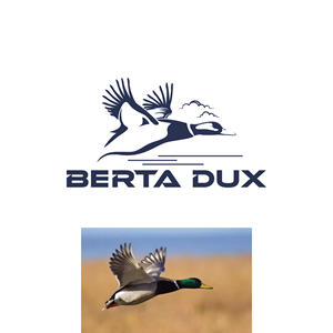 Logo Design by Dalour Hossen