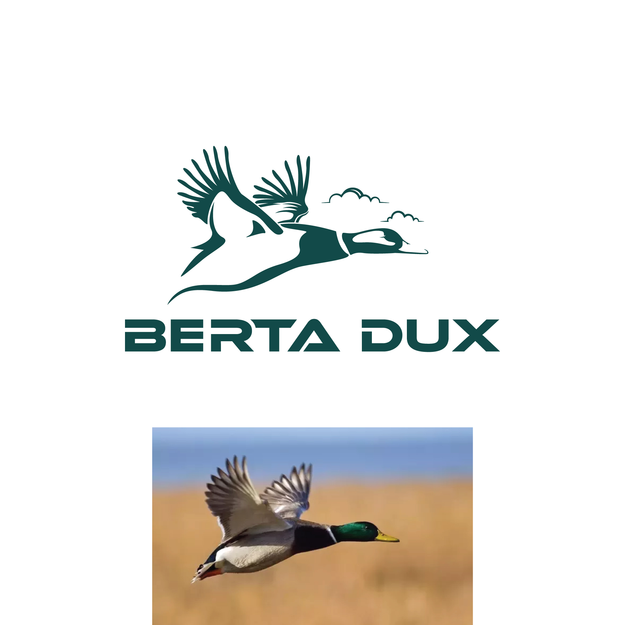 Logo Design by Dalour Hossen for this project | Design #29719529