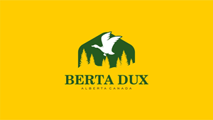 Logo Design by Originals