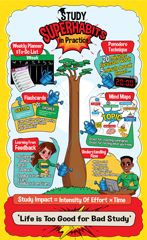 Infographic Design by ally designs