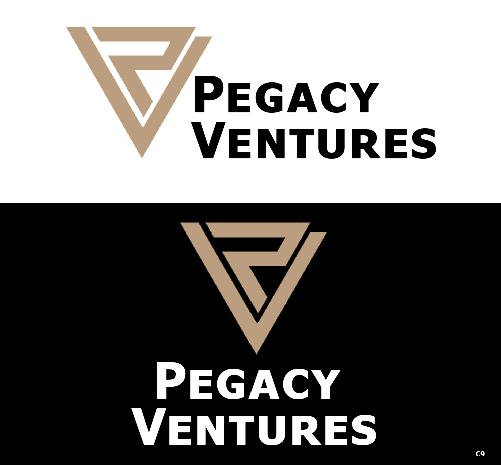 Diseño Web por pb para Pegacy Ventures | Diseño #29720970