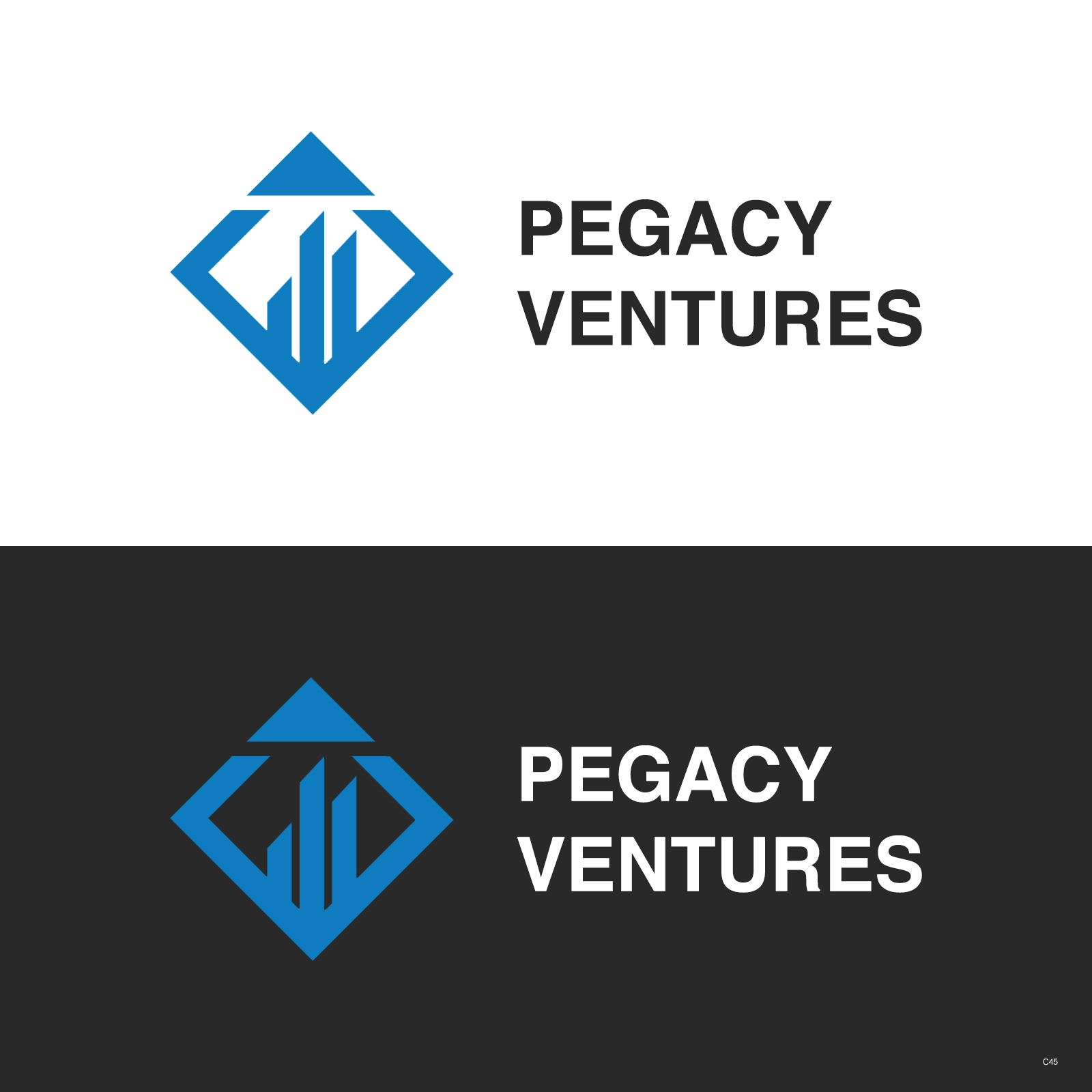 Web-Design von pb für Pegacy Ventures | Design #29720977