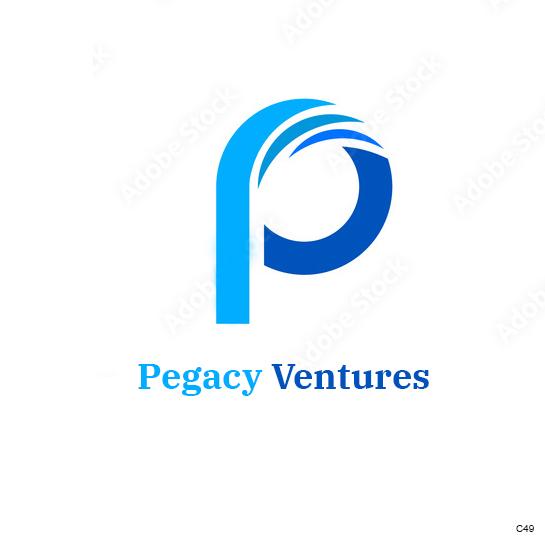 Diseño Web por pb para Pegacy Ventures | Diseño #29720985