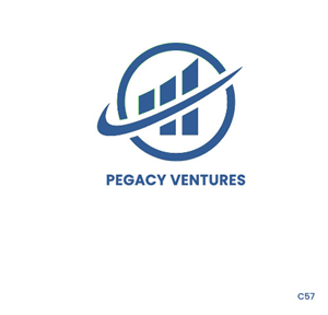 Diseño Web por pb para Pegacy Ventures | Diseño: #29720999