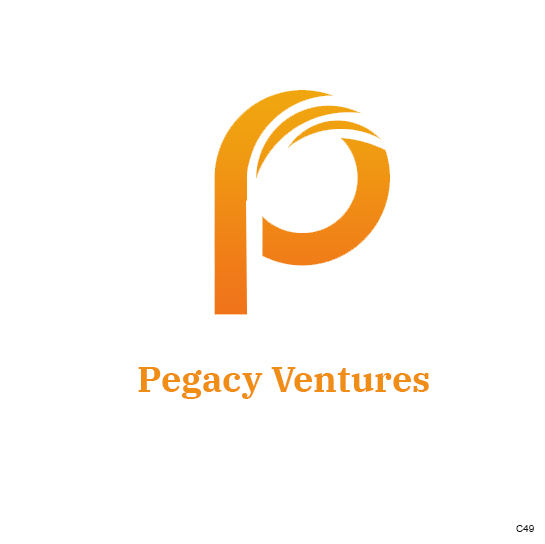 Diseño Web por pb para Pegacy Ventures | Diseño #29737542