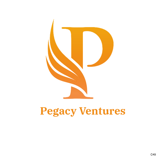 Diseño Web por pb para Pegacy Ventures | Diseño #29737543