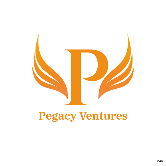 Diseño Web por pb para Pegacy Ventures | Diseño #29746030