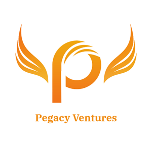 Web Design by pb for Pegacy Ventures | Design: #29750955
