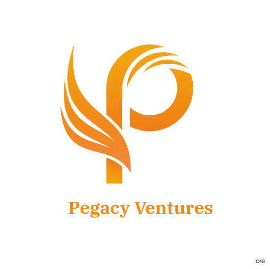 Diseño Web por pb para Pegacy Ventures | Diseño #29773296