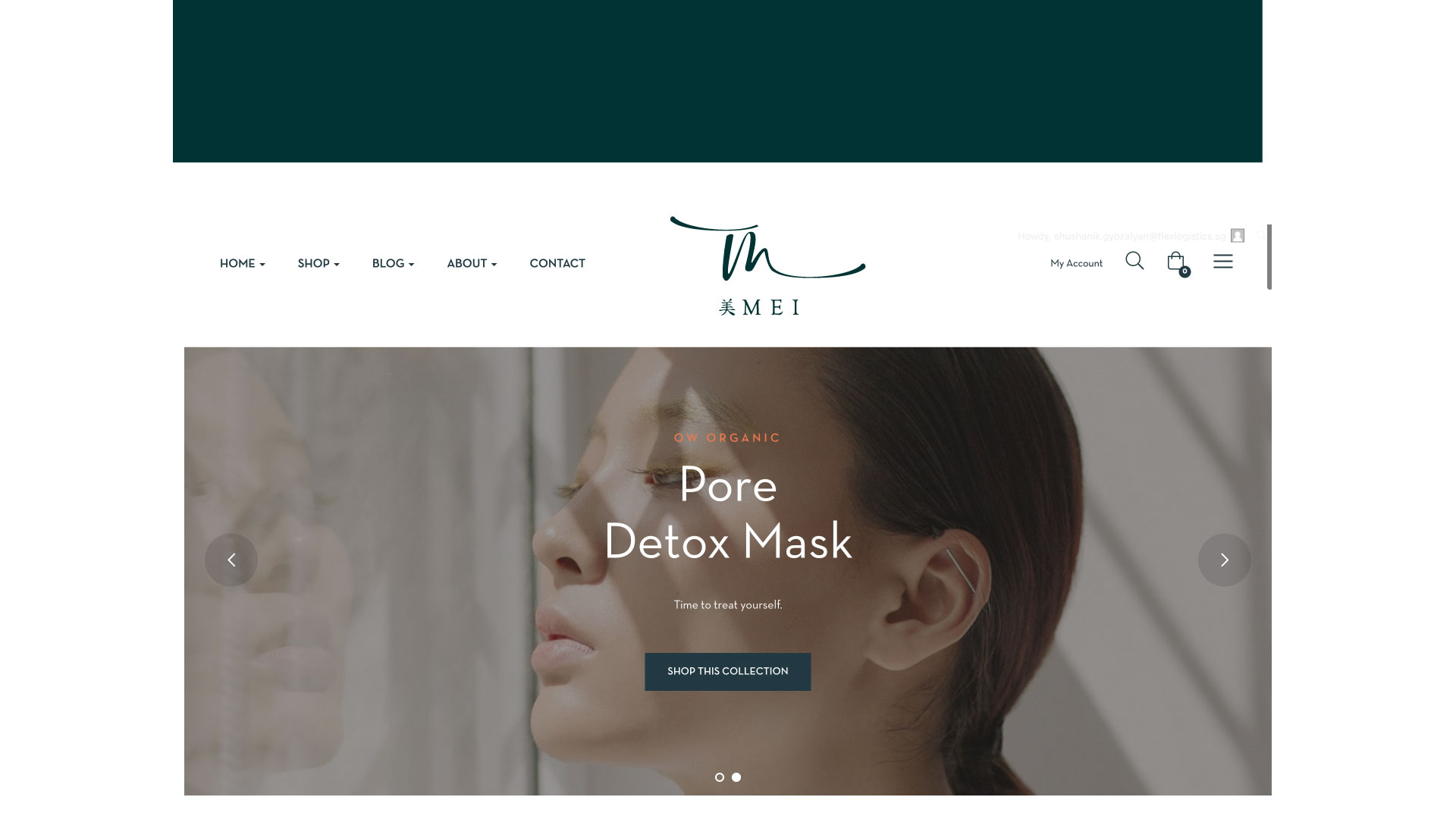 Logo Design by Oksana Harbar for Flex Logistics Pte Ltd, 16E Tuas Avenue 1 #07-67 JTC Space @ Tuas Singapore 639537 | Design #29745176