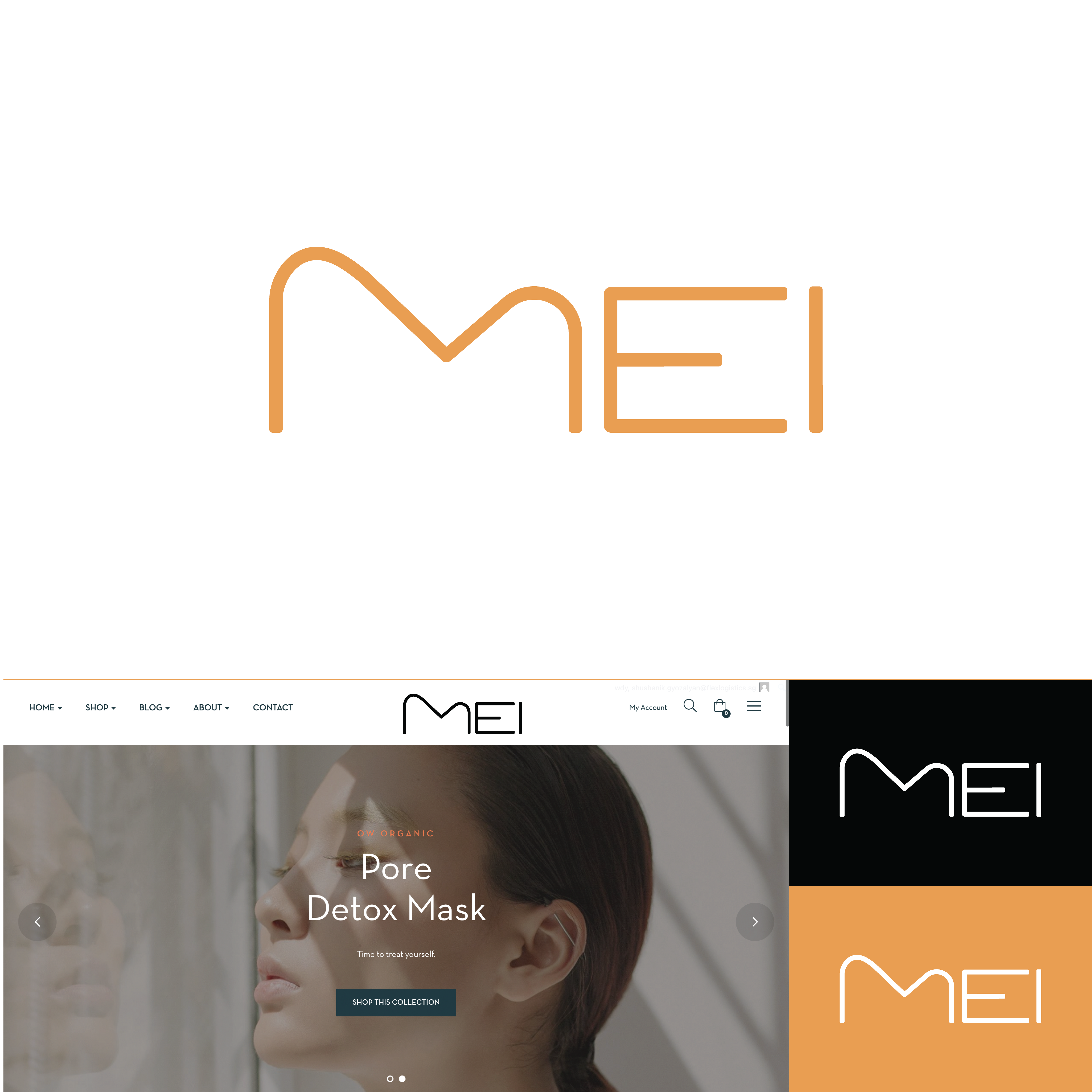 Logo Design by Logohouse23 for Flex Logistics Pte Ltd, 16E Tuas Avenue 1 #07-67 JTC Space @ Tuas Singapore 639537 | Design #29730772