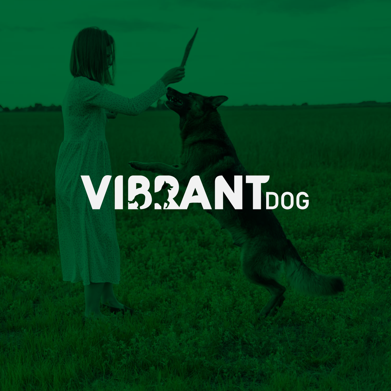 Logo-Design von Abdul 20 für dieses Projekt | Design #29724909