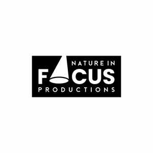 Logo-Design von Ashani Bhattacharya für Nature in Focus | Design #29743534