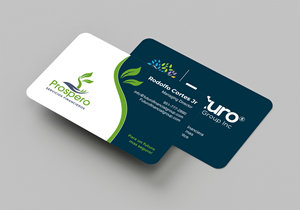 Business Card Design by chandrayaan.creative for this project | Design: #29733218