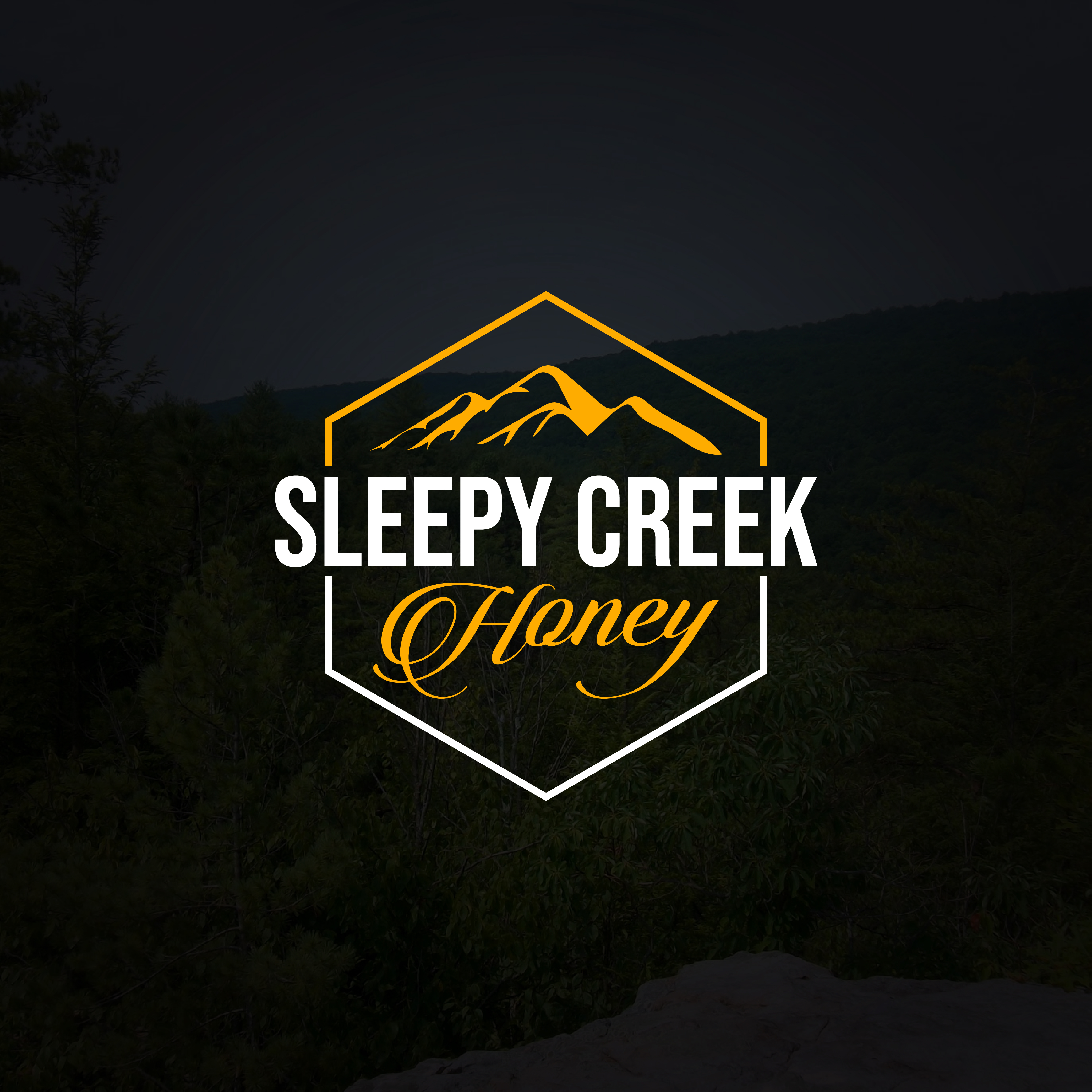 Logo Design by SF Creative for this project | Design #29737313