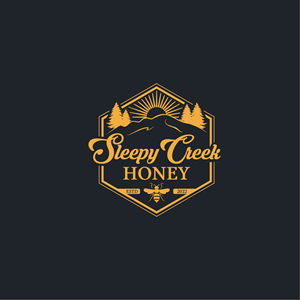 Logo Design by anizonestudio