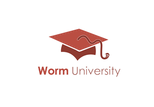 Logo Design by pixelbox for this project | Design #3097804
