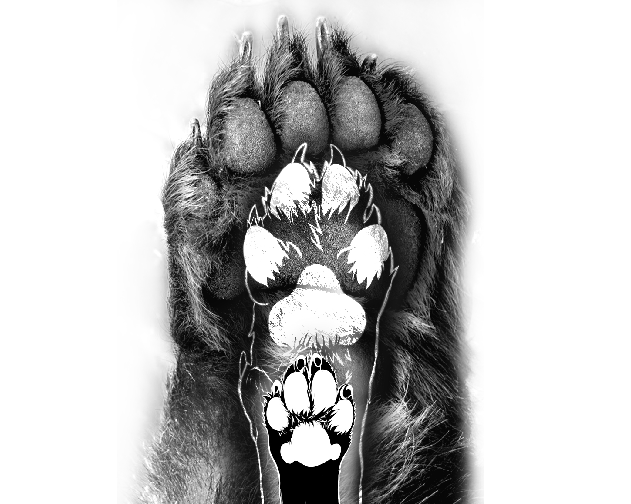 Tattoo Design by Carolina_SArt for this project | Design #29742359