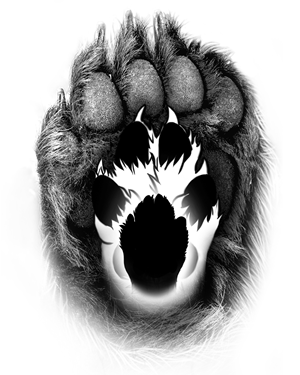 Diseño de Tatuaje por Carolina_SArt para este proyecto | Diseño: #29746839